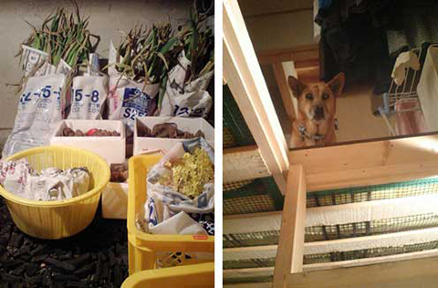 第１回　家族の健康を守る