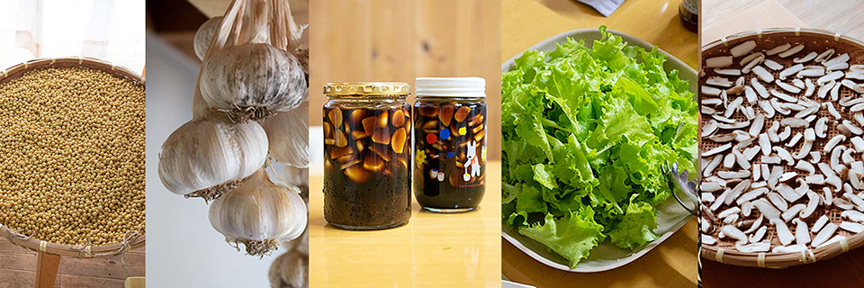 第１回　家族の健康を守る