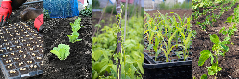 第１回　家族の健康を守る