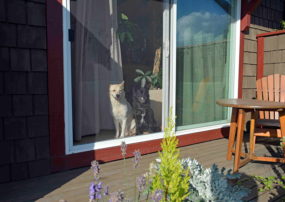 第２回　料理が楽しいキッチン