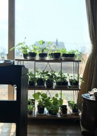 FMリベール83.7ch「経済再生あさひかわ 創造と改革」に出演させて頂きます