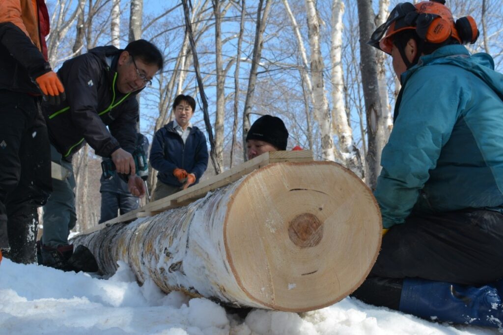 2019年4月1日 白樺プロジェクトin江丹別始動!木を伐りにみんなで伊勢ファームさんの森に行きました!
