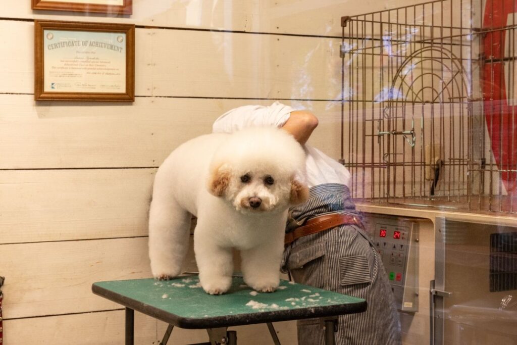 愛犬と家族の幸せのために~DENI'S STORE横倉さん