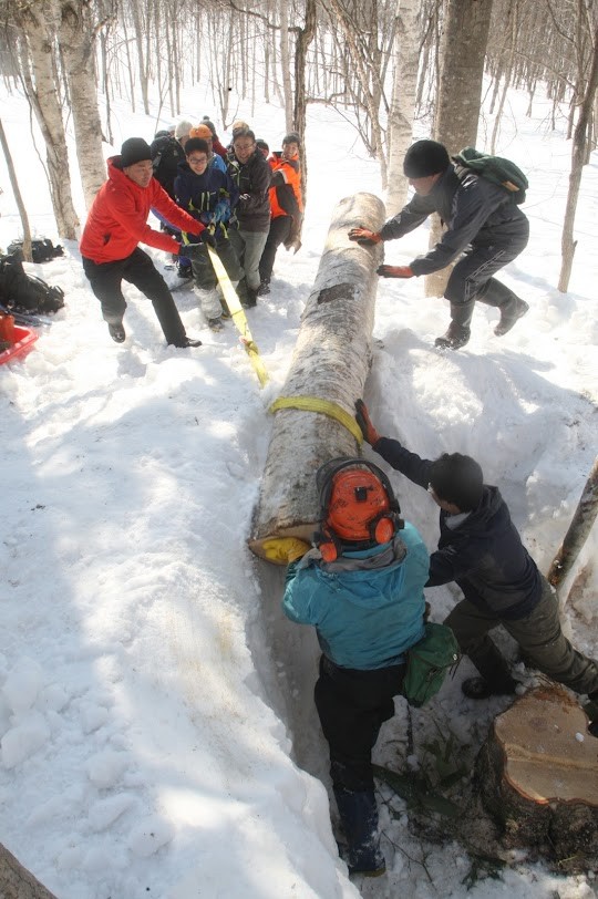 50年先も、白樺を生かすには。家具を通してつくる、森と人との良い関係~鳥羽山聡さん