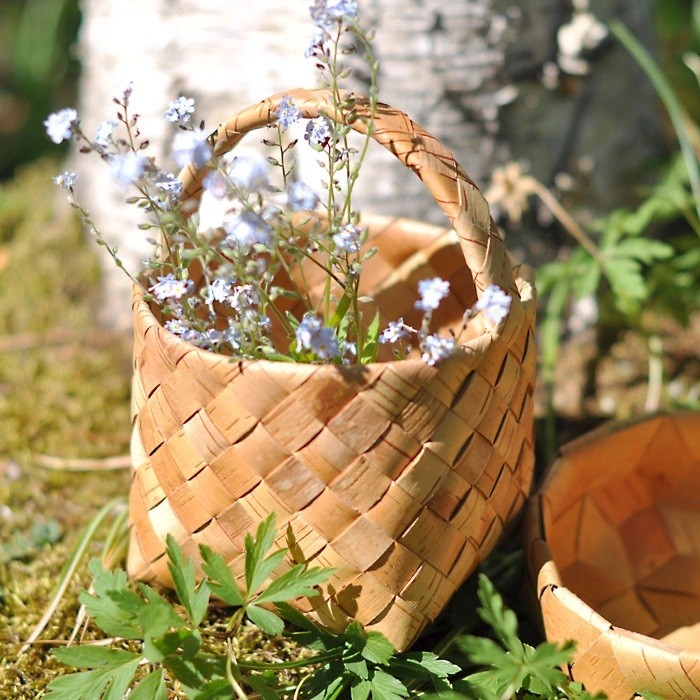 50年先も、白樺を生かすには。家具を通してつくる、森と人との良い関係~鳥羽山聡さん
