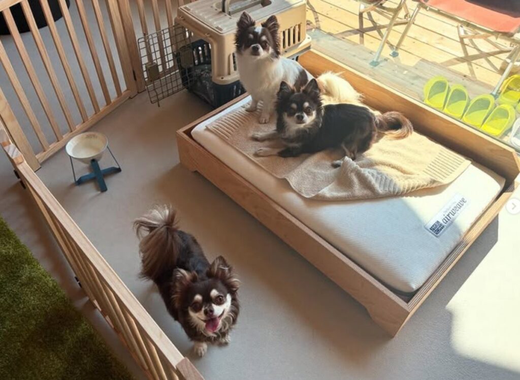 北海道東川町で愛犬に優しい宿 LeＬien（ルリアン）を開業！