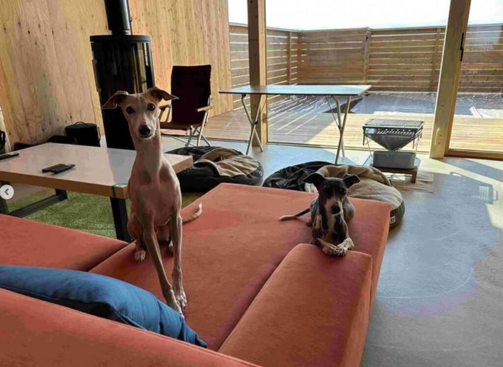 北海道東川町で愛犬に優しい宿 LeＬien（ルリアン）を開業！