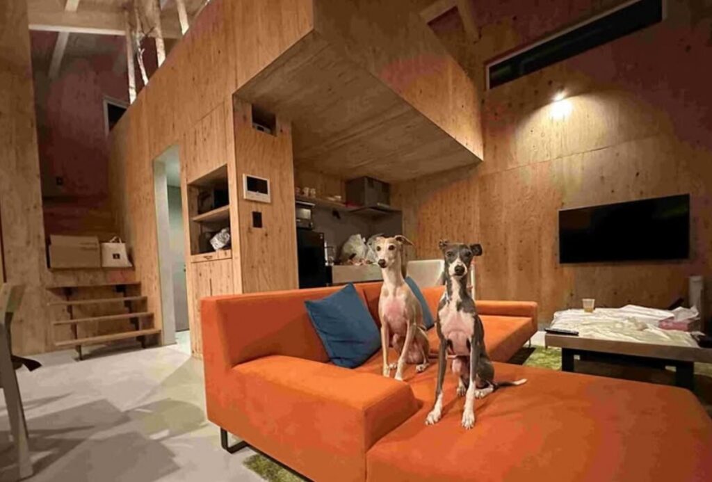 北海道東川町で愛犬に優しい宿 LeＬien（ルリアン）を開業！