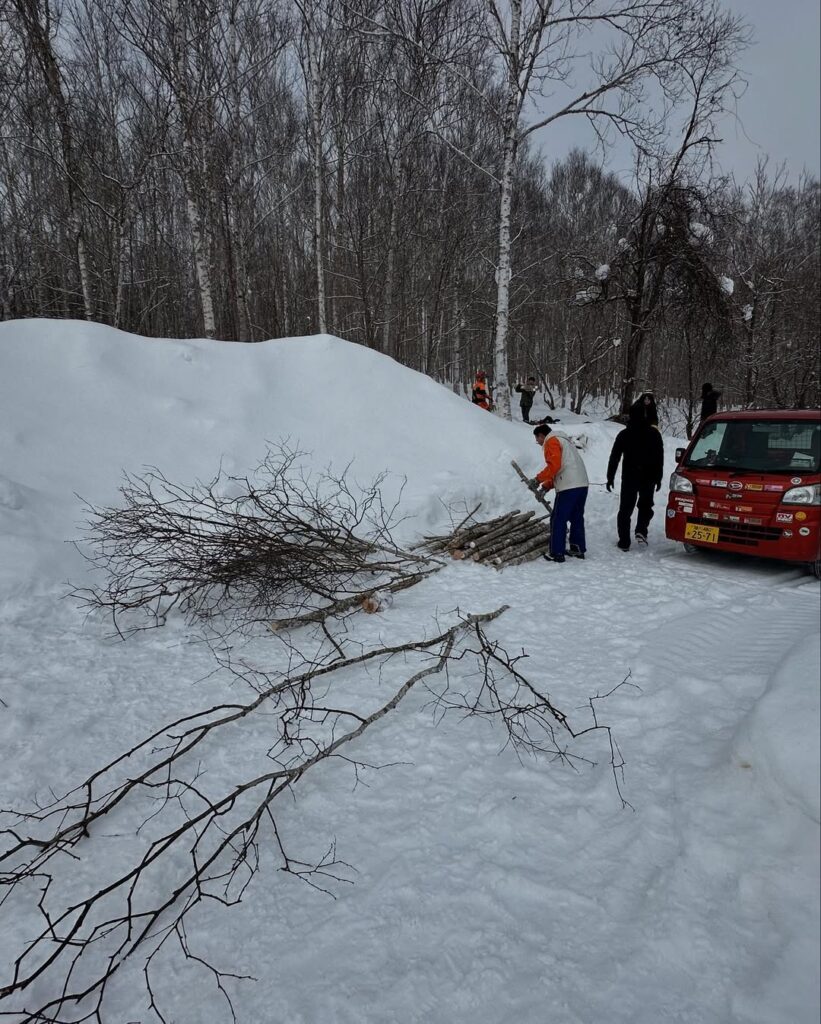【東川町】シラカバ伐採に行きました