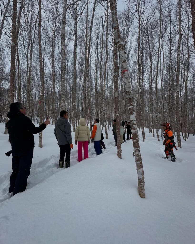 【東川町】シラカバ伐採に行きました