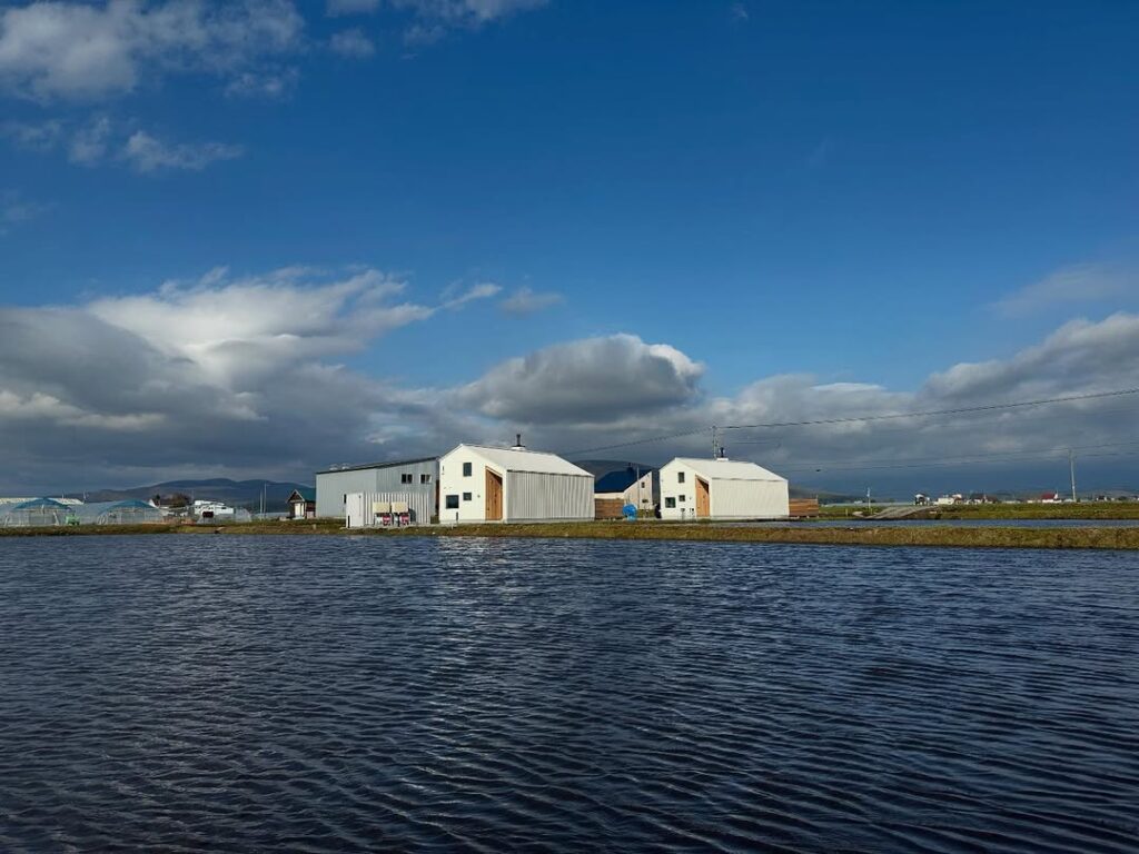 【美瑛町】壁断熱施工完了！