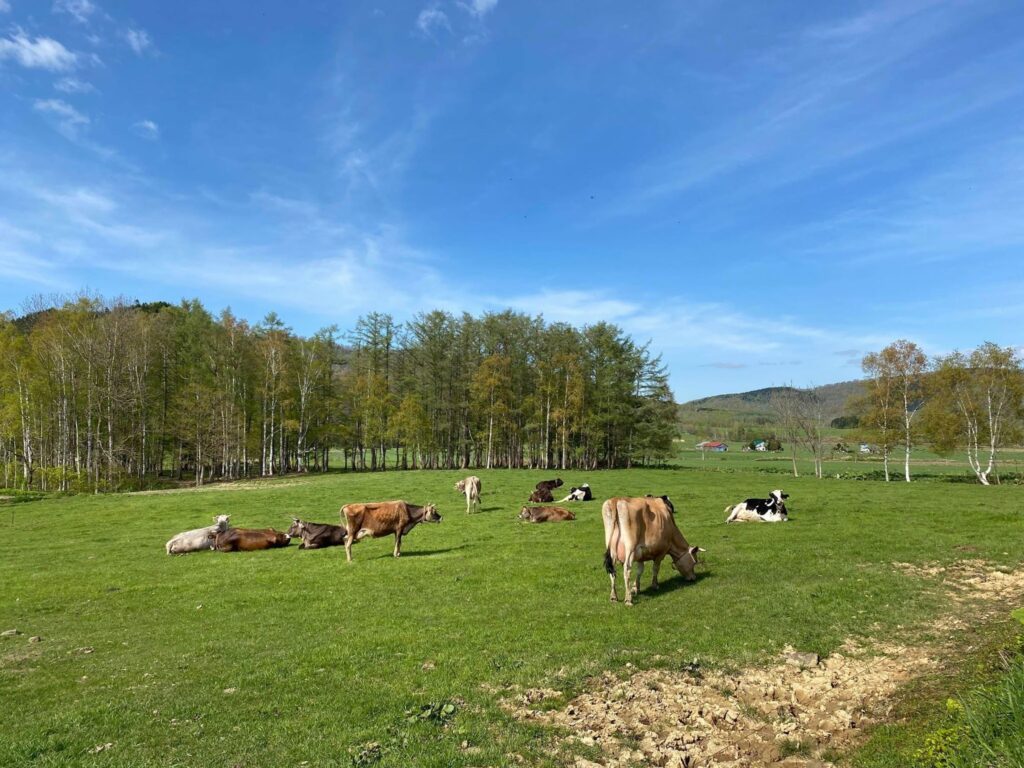 2019年　旭川市江丹別伊勢様タイニーハウスをご紹介します